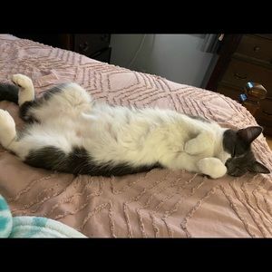 Meet your Posher, Karly